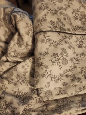 2 Toile Forest Nature Winter Northern Nights Pillowcases 300 Thread Count Full